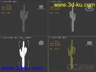 carnegiea_gigantea巨人柱仙人掌模型的图片