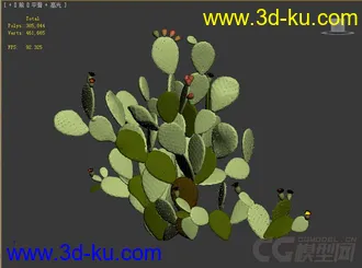 opuntia_ficus-indica仙人掌果模型的图片