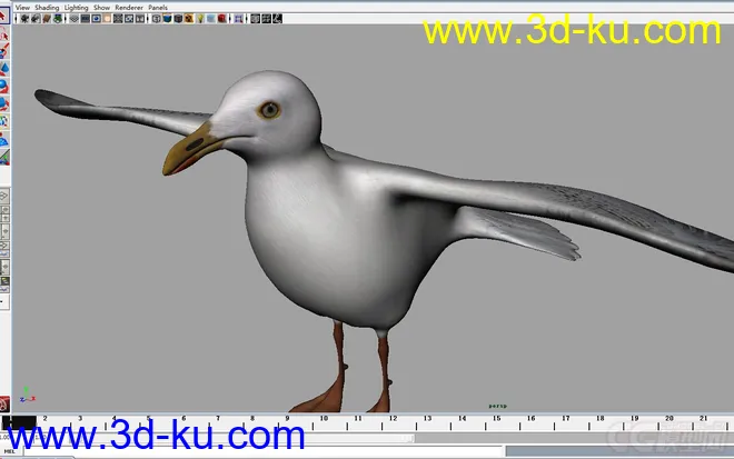 海鸥seagull-maya2009模型的图片1