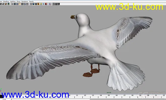海鸥seagull-maya2009模型的图片2