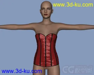 3D打印模型Daz3d - Poser - Sexy Corsage for Genesis 2 Female的图片