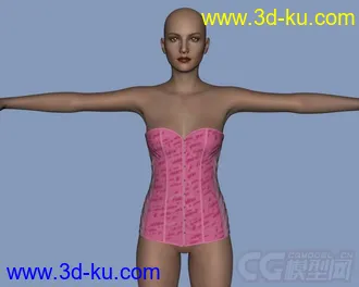 3D打印模型Daz3d - Poser - Sexy Corsage for Genesis 2 Female的图片