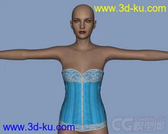 3D打印模型Daz3d - Poser - Sexy Corsage for Genesis 2 Female的图片