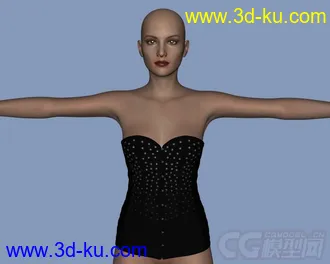 3D打印模型Daz3d - Poser - Sexy Corsage for Genesis 2 Female的图片