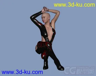 3D打印模型15779 Latex Hero的图片