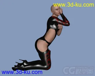 3D打印模型15779 Latex Hero的图片