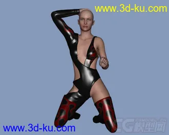 3D打印模型15779 Latex Hero的图片