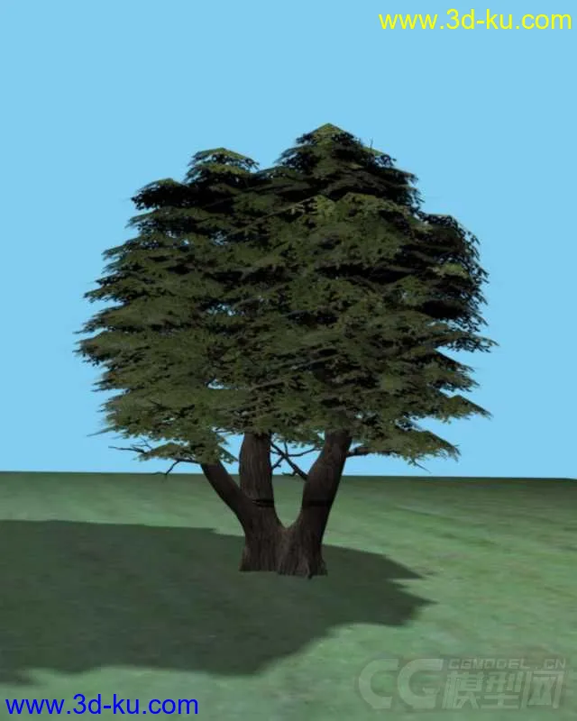 一棵大树模型的图片1