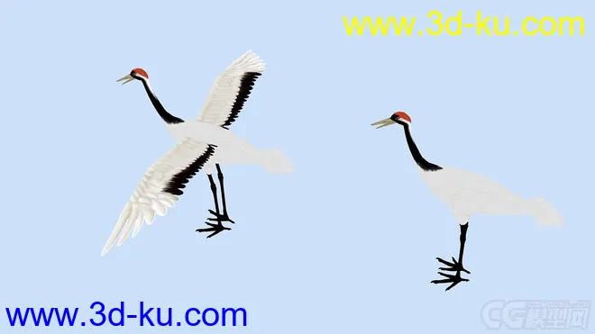 鸟类翅膀动画 仙鹤模型的图片2