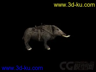 3D打印模型野猪的图片