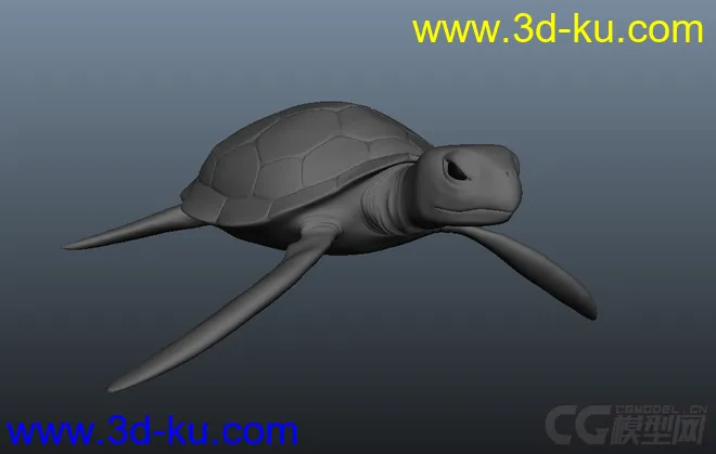 写实海龟模型的图片1