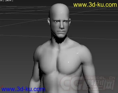 男 人体模型的图片2