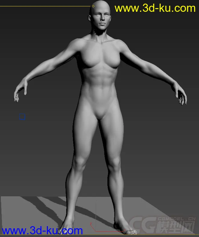 写实女人体模型的图片1