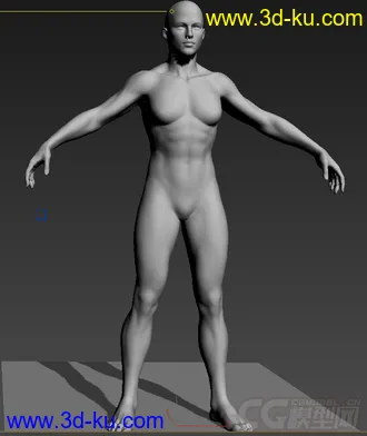 写实女人体模型的图片