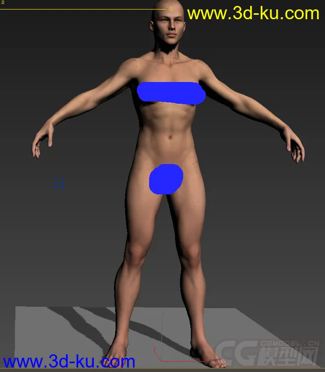 写实女人体模型的图片2