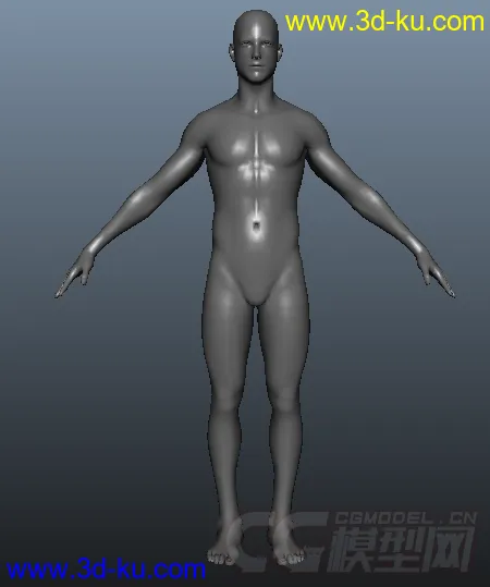 基础人体模型的图片1
