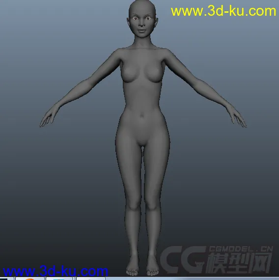 女人体一枚模型的图片1