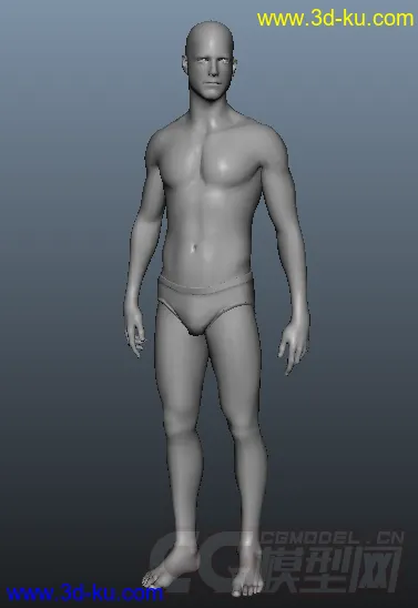 基础男人体模型的图片1