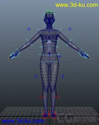3D打印模型写实女人体  带绑定的图片