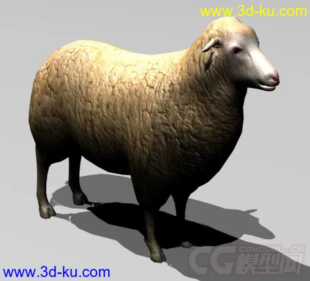绵羊模型的图片1