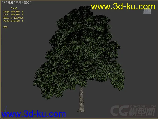 sassafras檫木檫树模型的图片1