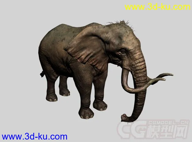 大象 简模 法线贴图模型的图片1