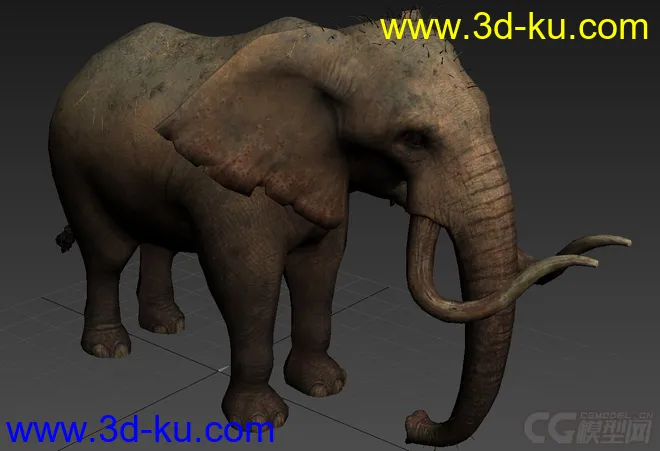 大象 简模 法线贴图模型的图片3