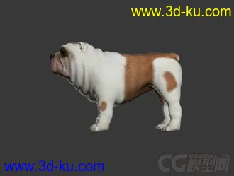 3D打印模型小狗狗的图片