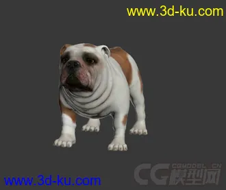 3D打印模型小狗狗的图片