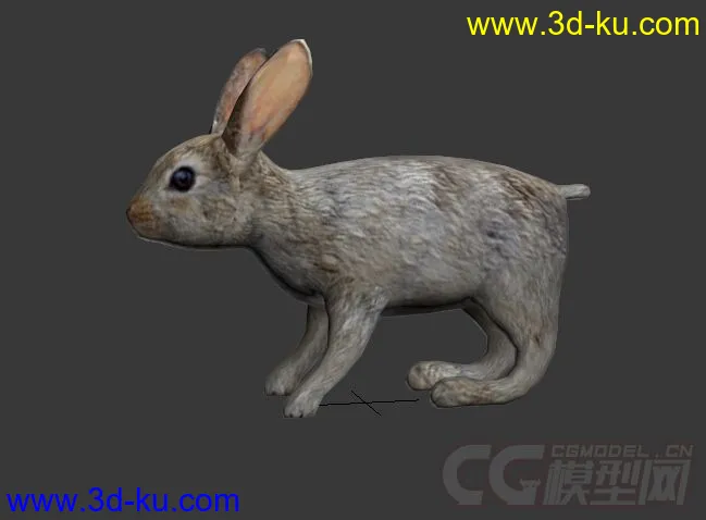 兔子模型的图片1
