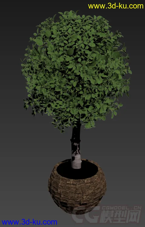 装饰品 树盆栽模型的图片1