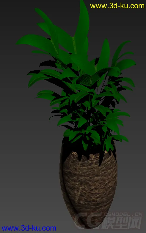 装饰品 树盆栽模型的图片1