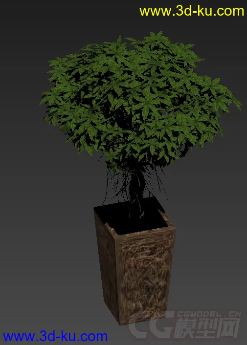装饰品 树盆栽模型的图片2