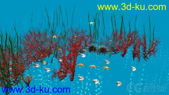 海底植物模型的图片1