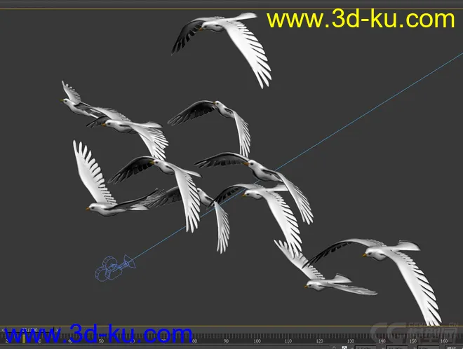 鸽子 海鸥模型的图片3