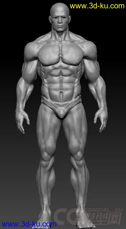 我自己雕刻的肌肉 新手轻喷模型的图片1