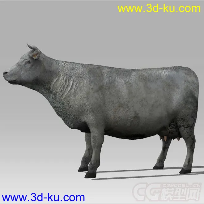 一头写实的大水牛 模型的图片1