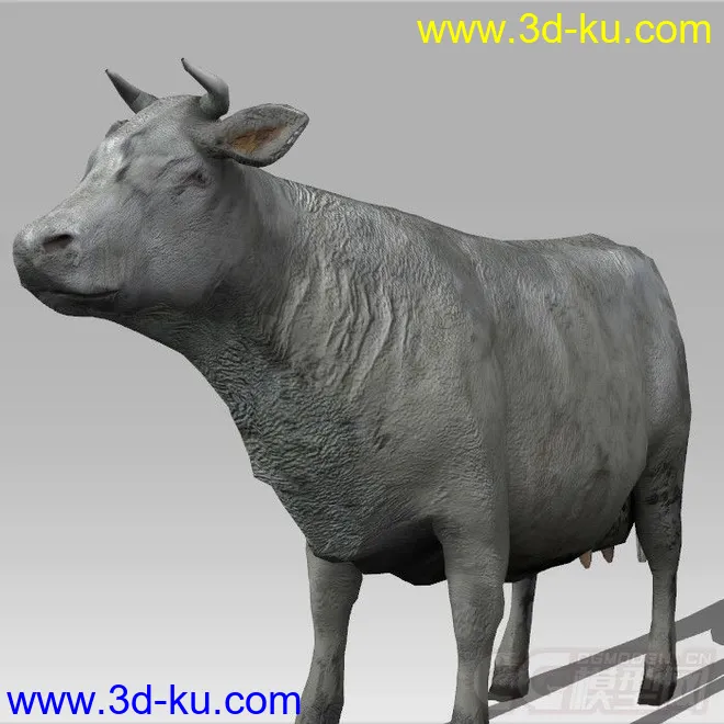 一头写实的大水牛 模型的图片3