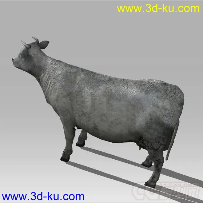 一头写实的大水牛 模型的图片5