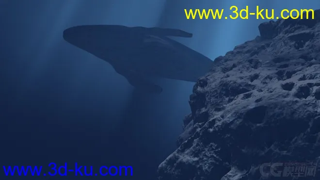 影视级海底鲸鱼动画模型的图片3