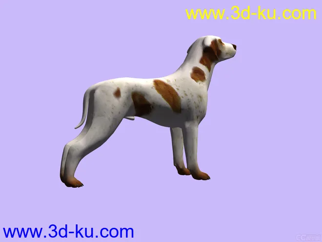 3D 狗模型的图片1