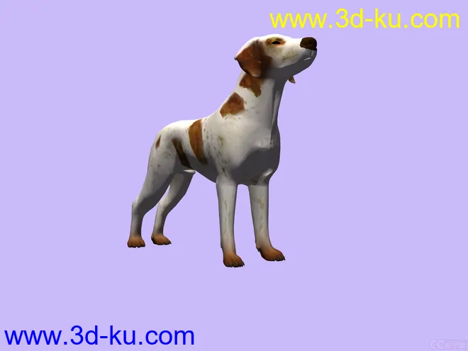 3D 狗模型的图片2