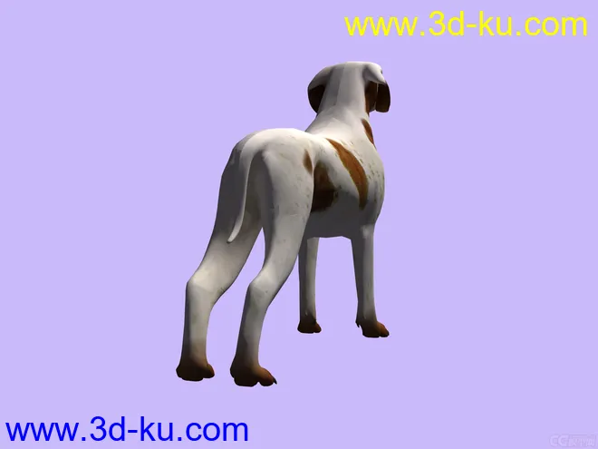 3D 狗模型的图片3