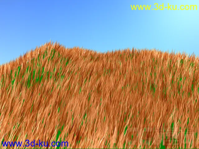 杂草，荒地，黄草模型的图片1