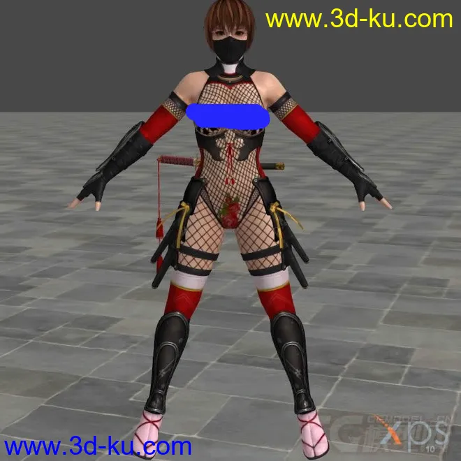 DOA5LR -Ninja 2015- Kasumi模型的图片1