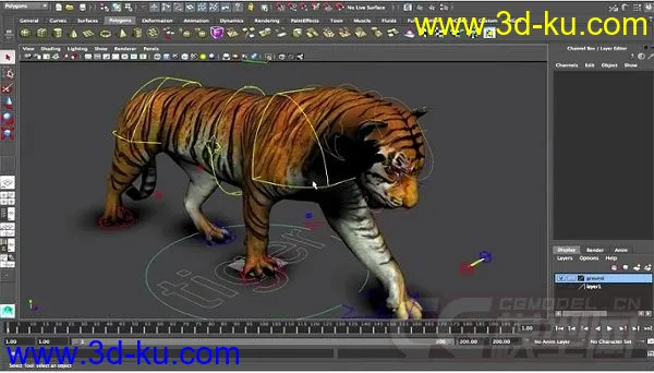 Tiger rig full controls full textures模型的图片2