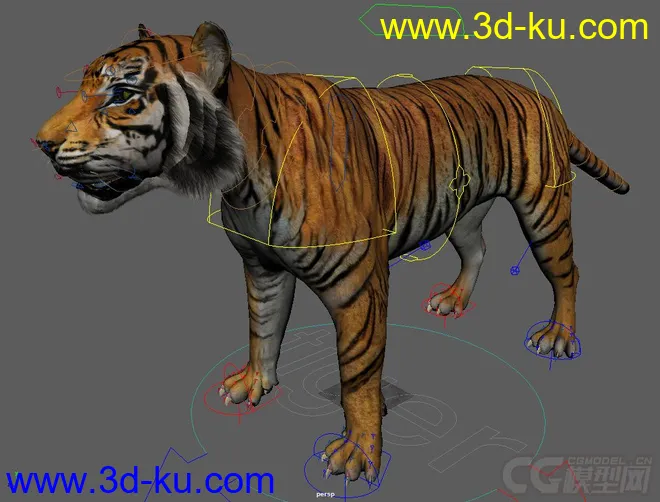 Tiger rig full controls full textures模型的图片3