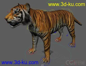 3D打印模型Tiger rig full controls full textures的图片