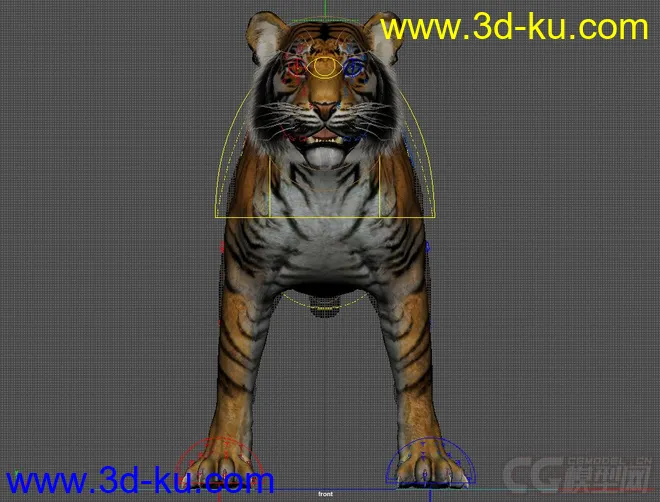 Tiger rig full controls full textures模型的图片4