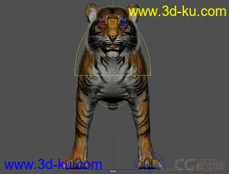 3D打印模型Tiger rig full controls full textures的图片